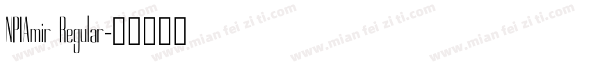 NPIAmir Regular字体转换